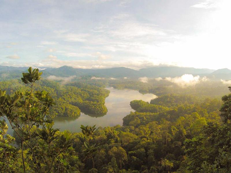 声音捕手<br>bcxjjkz.cn 雨打芭蕉声